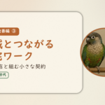 暮らし改善編③のアイキャッチ。地域とつながる在宅ワーク、地元の店と組む小さな契約。オカメインコとウロコインコの小鳥さんたちが並んで止まっている姿が描かれたイラスト入り。
