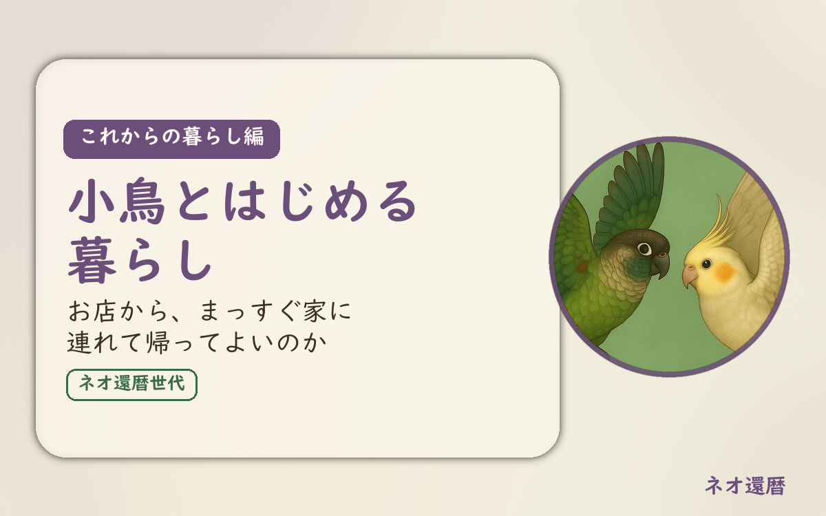 これからの暮らし編のアイキャッチ。小鳥とはじめる暮らし、お店から、まっすぐ家に連れて帰ってよいのか。ウロコインコとオカメインコの小鳥さんたちが向かい合って描かれたイラスト入り。